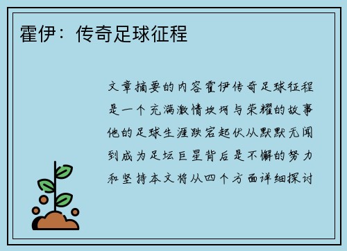 霍伊：传奇足球征程